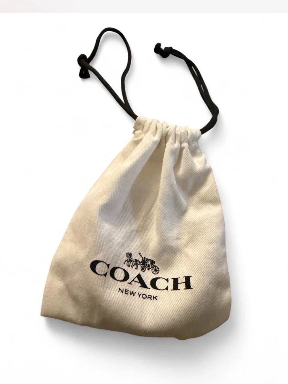 Coach features translucent